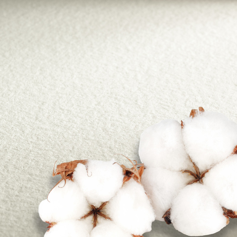 The Collection Watercolour Bogen